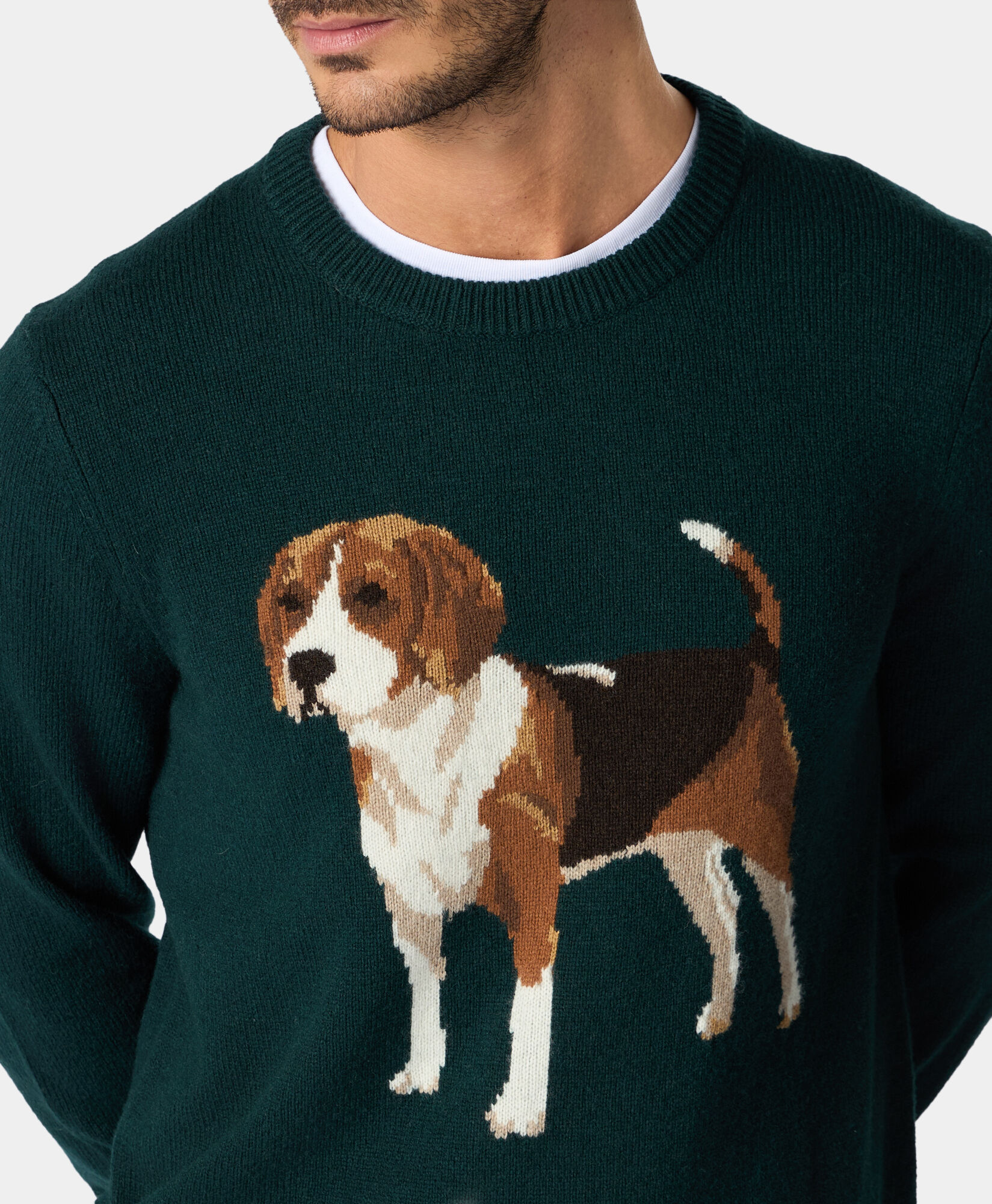 Beagle Intarsia Wool Blend Crewneck in Green for Men Brooks Brothers EU