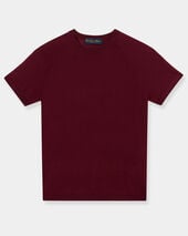 Brooks Brothers Short-Sleeved Merino Wool Crewneck Burgundy