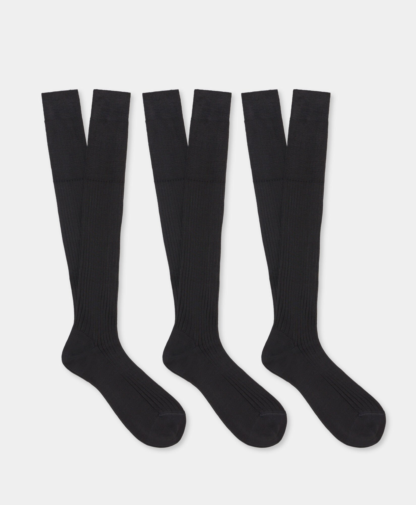 Ribbed Lisle Cotton Classic Socks