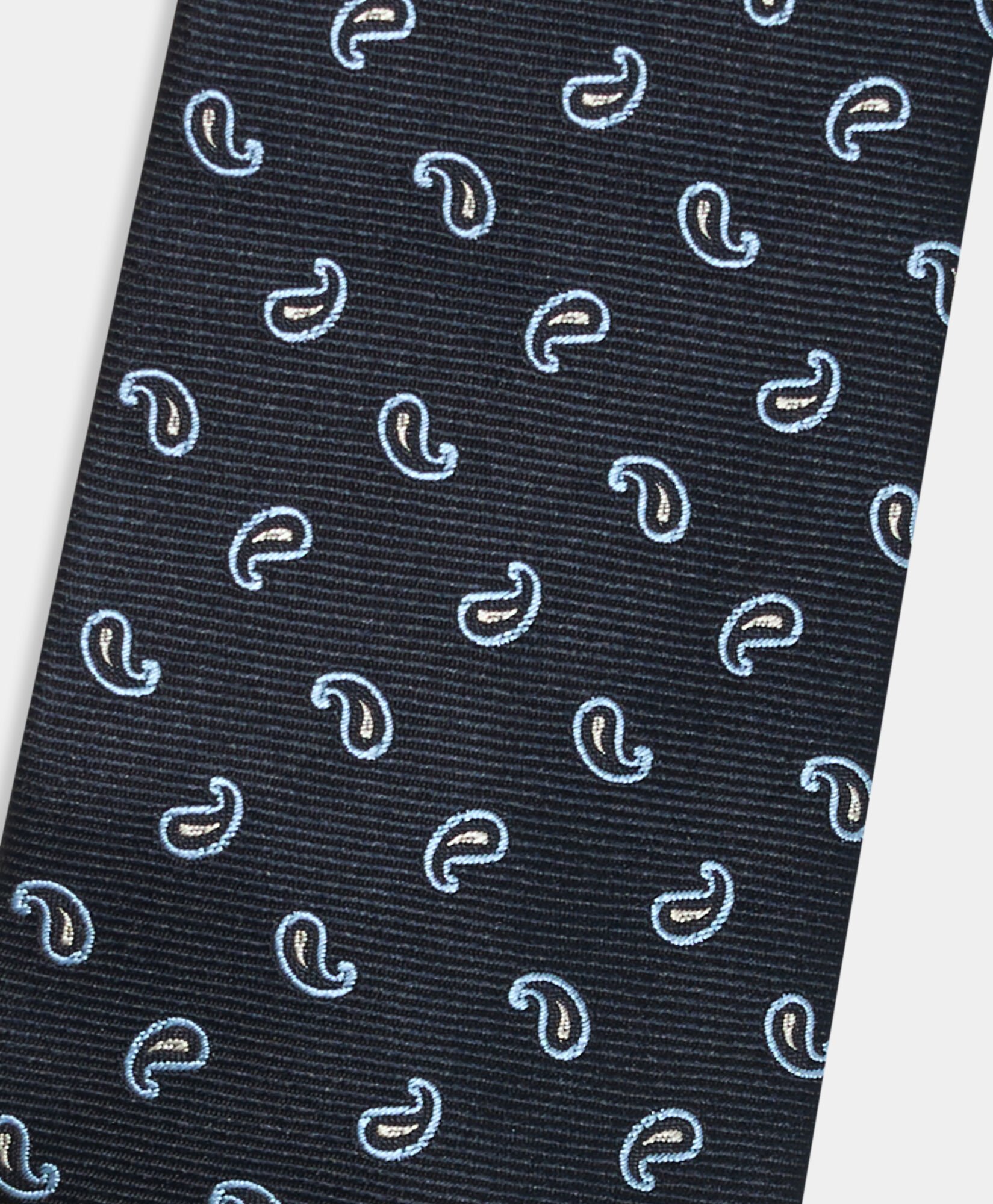 Paisley Silk Tie