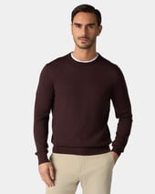 Brooks Brothers Merino Wool Crewneck Sweater Brown