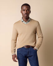Brooks Brothers Pull Col V Noix