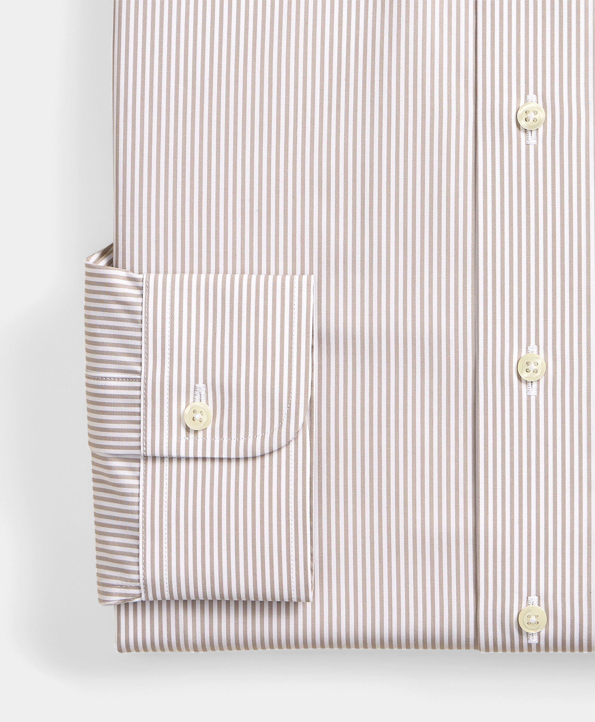 Regular Fit Cotton Shirt with Ainsley Collar